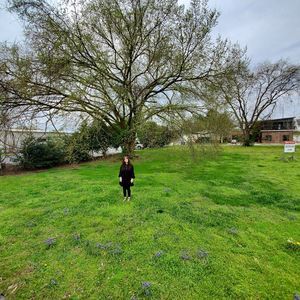 Meet your Posher, Monica